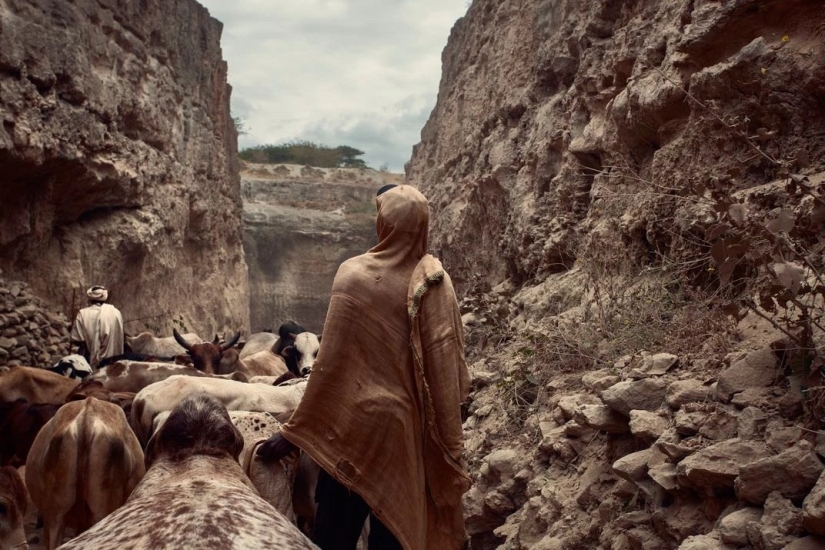 Finalistas Concurso de Fotografía Smithsonian 2016 Finalistas Concurso de Fotografía Smithsonian 2016