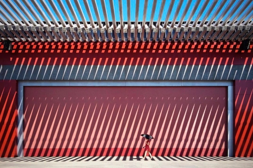 Finalistas Concurso de Fotografía Smithsonian 2016 Finalistas Concurso de Fotografía Smithsonian 2016