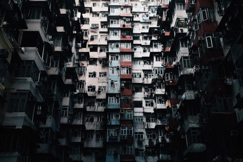 Finalistas Concurso de Fotografía Smithsonian 2016 Finalistas Concurso de Fotografía Smithsonian 2016