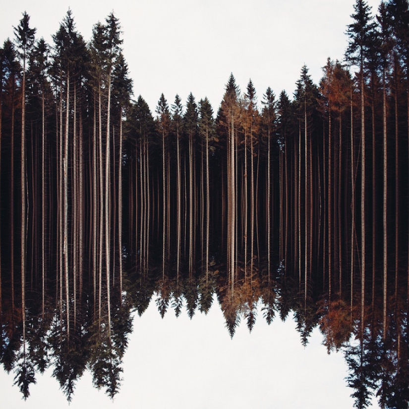 Finalists of the largest photo contest in the world EyeEm have been announced