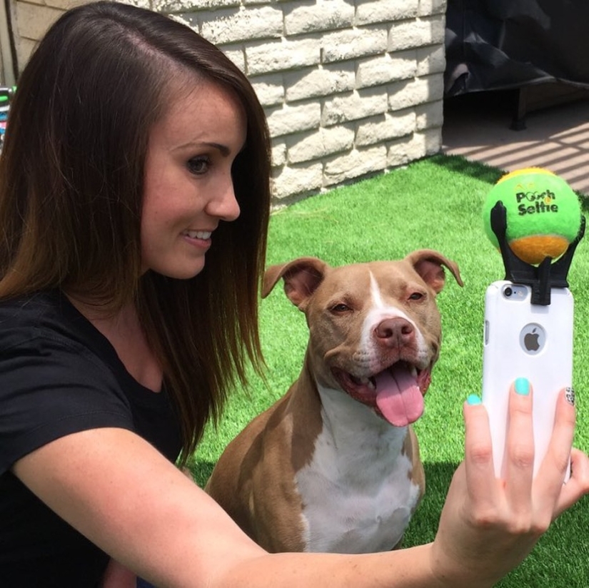 Finally, a device for perfect selfies with dogs has been invented! Finally, a device for perfect selfies with dogs has been invented!