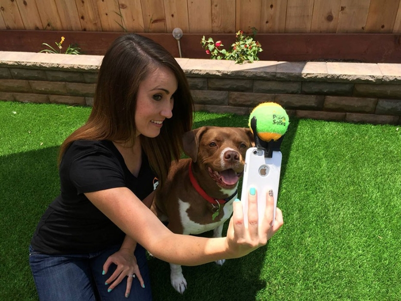 Finally, a device for perfect selfies with dogs has been invented! Finally, a device for perfect selfies with dogs has been invented!