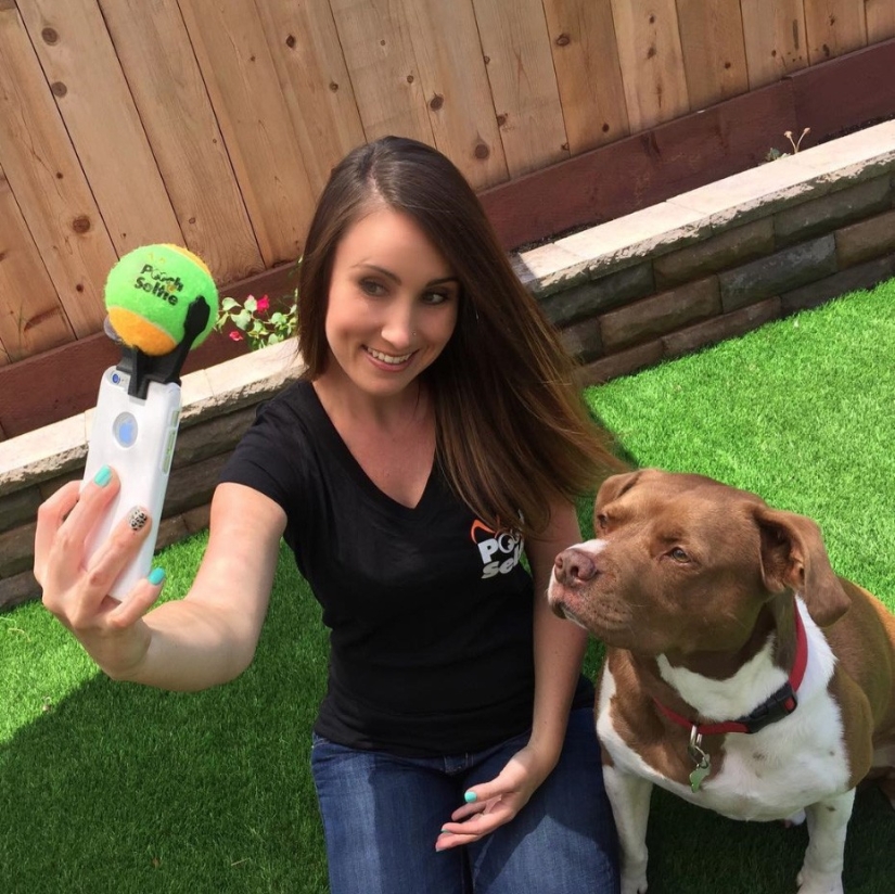 ¡Finalmente, se ha inventado un dispositivo para selfies perfectos con perros! ¡Finalmente, se ha inventado un dispositivo para selfies perfectos con perros!