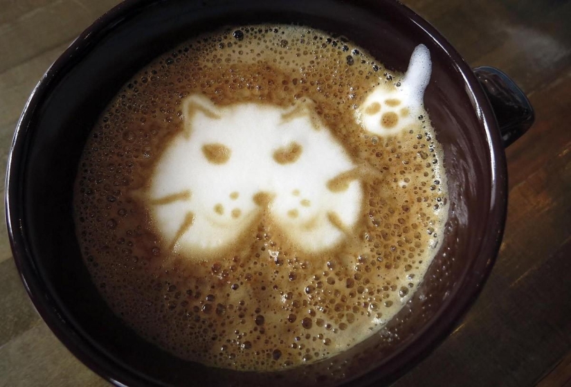 First cat cafe opens in New York