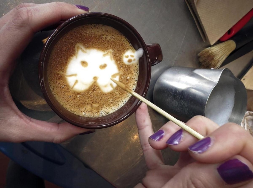 First cat cafe opens in New York