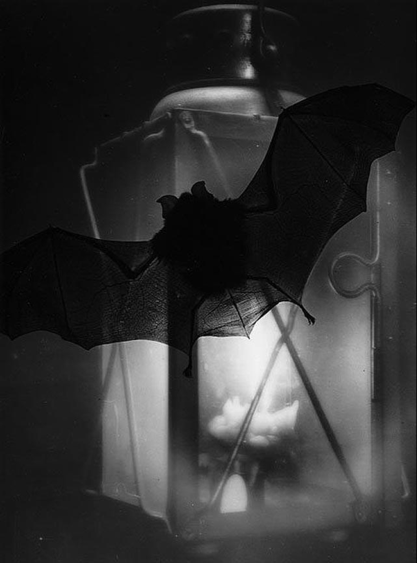Formas sorprendentes en las fotografías de Heinz Hayek-Halke