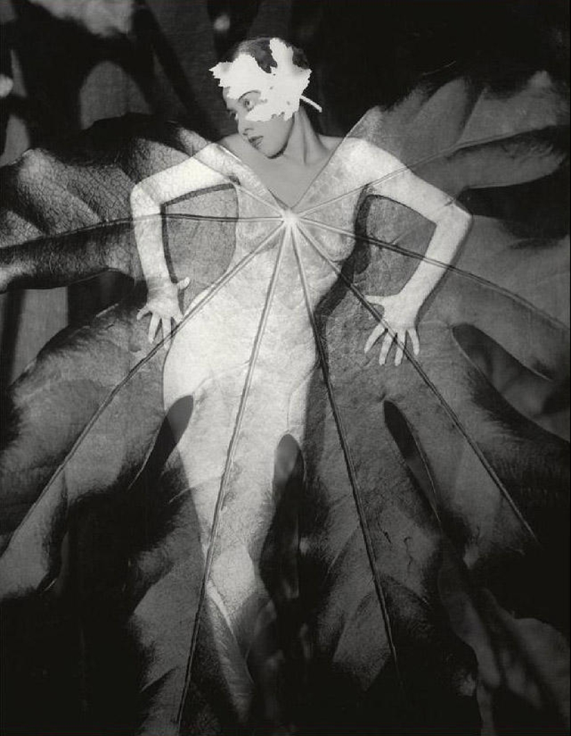 Formas sorprendentes en las fotografías de Heinz Hayek-Halke