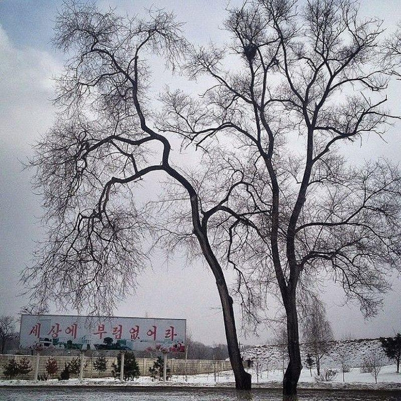 Fotógrafo del año de Instagram de TIME otorgado a bloguera de Corea del Norte