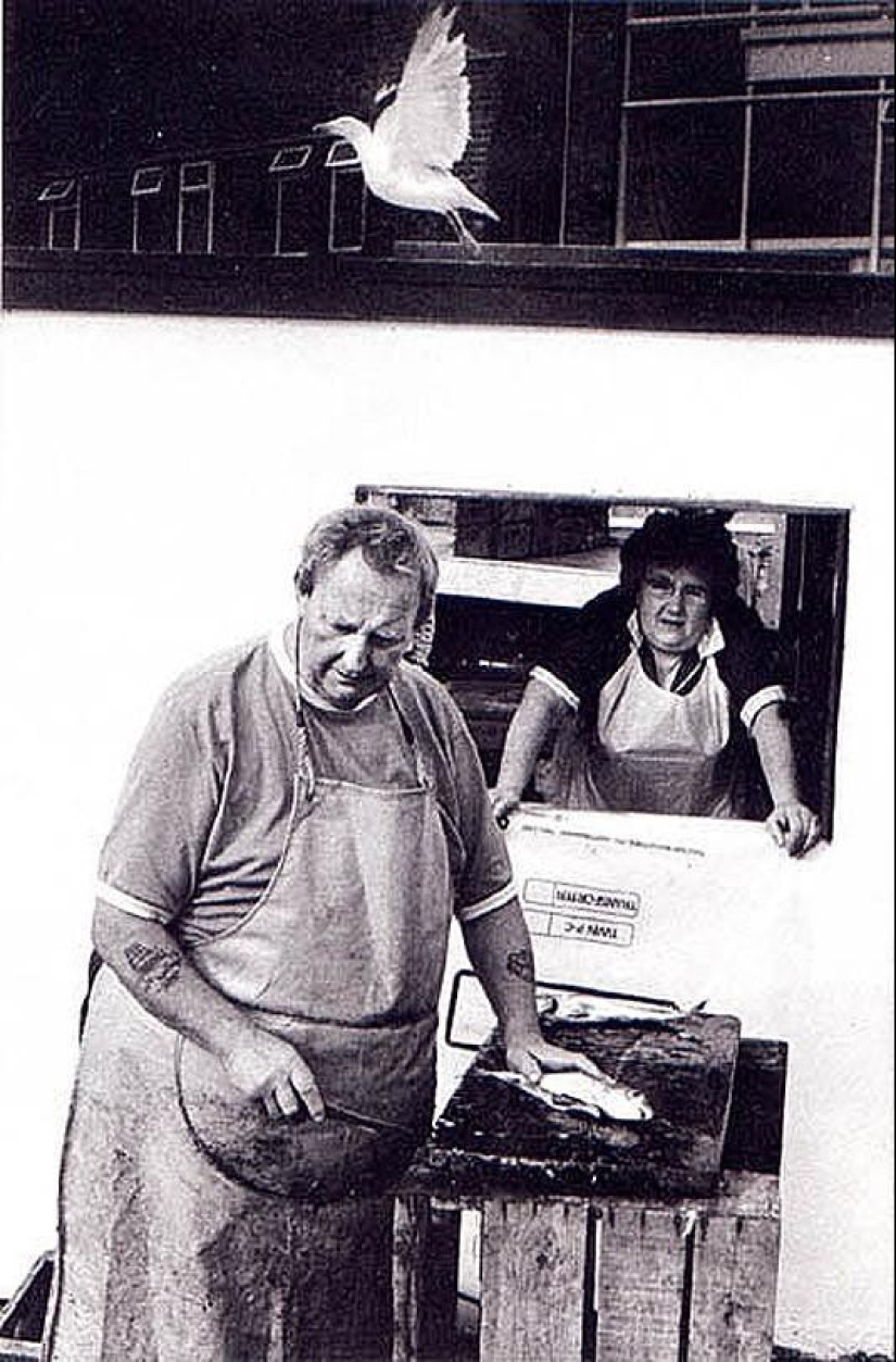Foto de la rara edición de Ian Berry &quot;The English&quot;