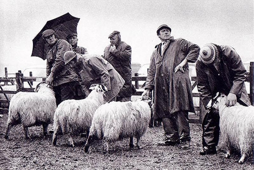 Foto de la rara edición de Ian Berry &quot;The English&quot;