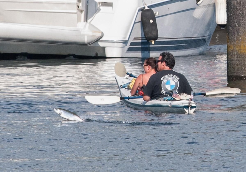 Fotobombas y fotobombas Fotobombas y fotobombas