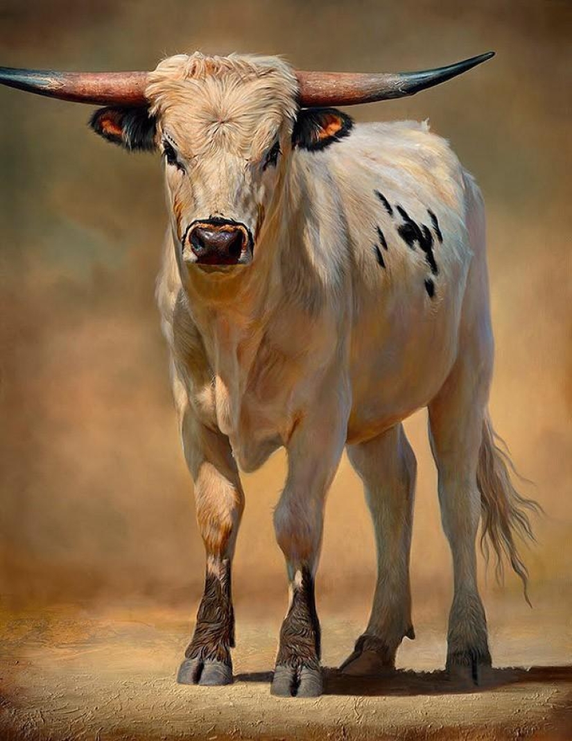 ¿Fotografía o pintura?