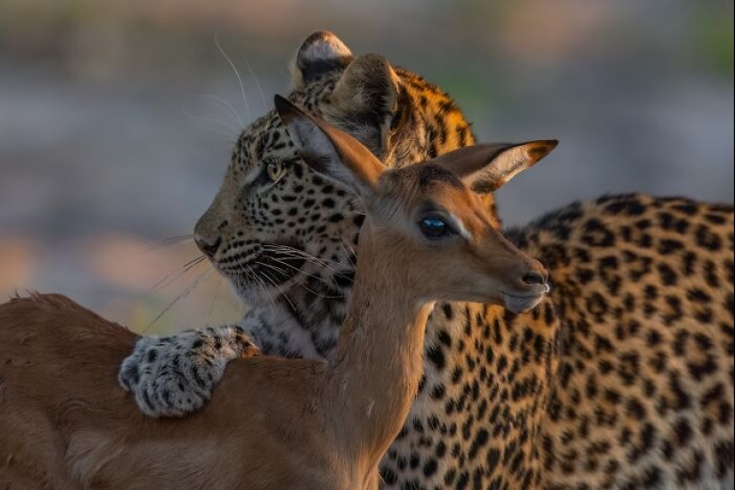 Fotografía poderosa: 10 fotografías ganadoras de los premios internacionales de fotografía de Siena 2023