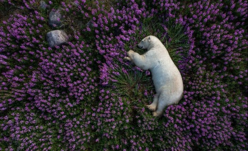 Fotografía poderosa: 10 fotografías ganadoras de los premios internacionales de fotografía de Siena 2023