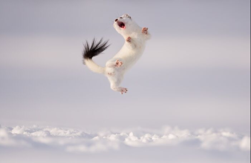 Fotografía poderosa: 10 fotografías ganadoras de los premios internacionales de fotografía de Siena 2023