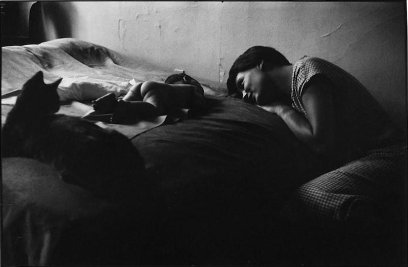 Fotos cálidas y divertidas de Elliot Erwitt Fotos cálidas y divertidas de Elliot Erwitt