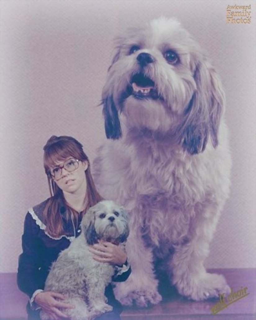 Fotos familiares muy extrañas con mascotas