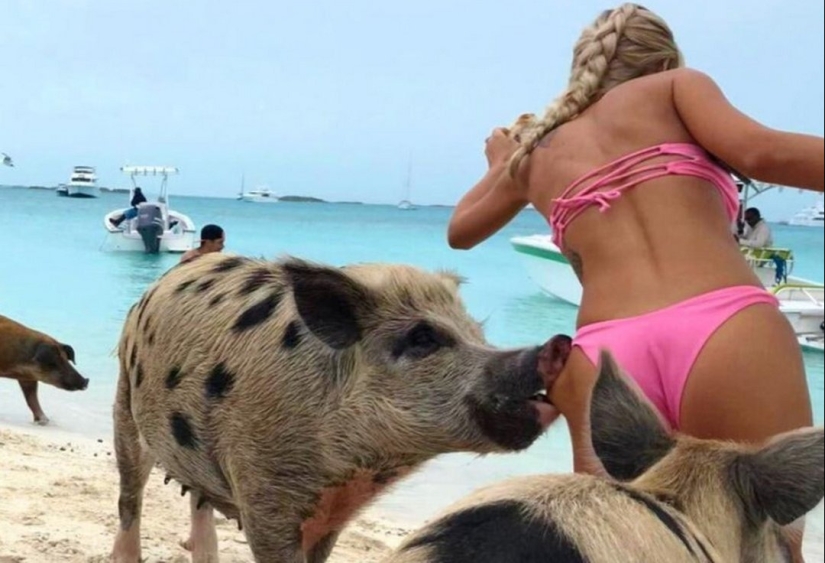 fotos graciosas de la playa