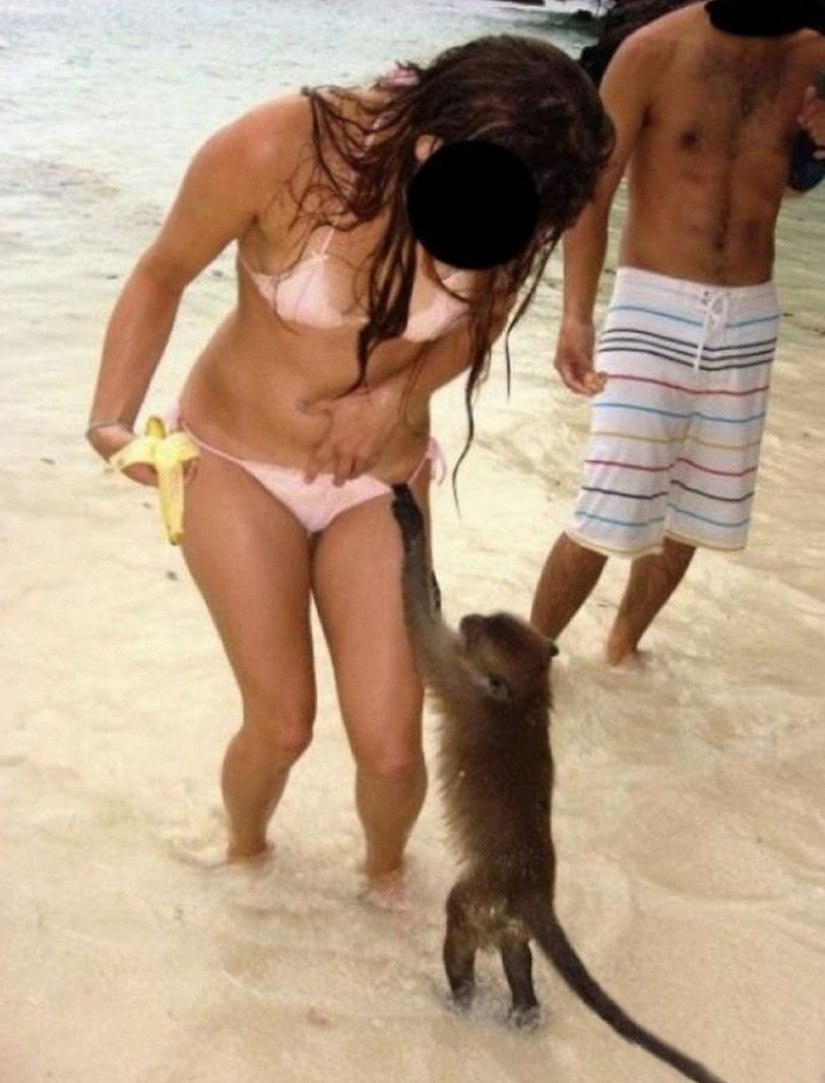 fotos graciosas de la playa
