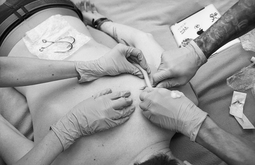 Fotos impactantes: En ganchos Fotos impactantes: En ganchos