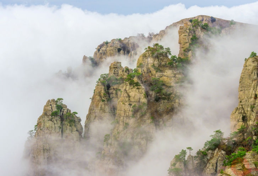 Fotos únicas de los rincones salvajes del país en el festival Rusia Primordial