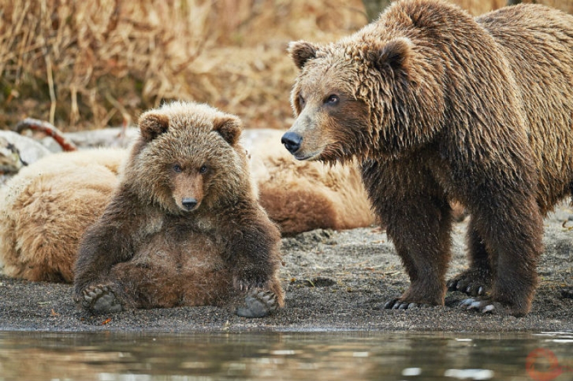 Fotos únicas de los rincones salvajes del país en el festival Rusia Primordial