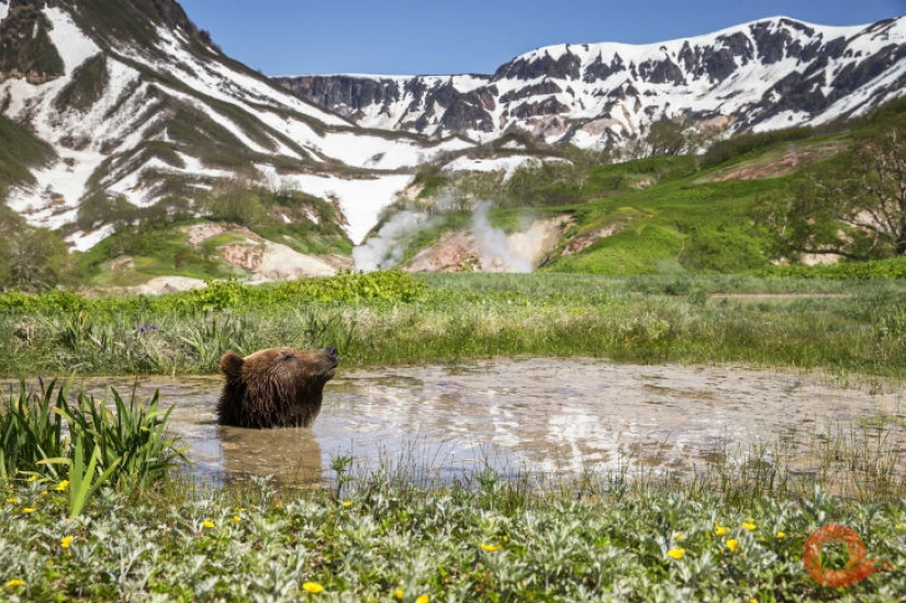 Fotos únicas de los rincones salvajes del país en el festival Rusia Primordial