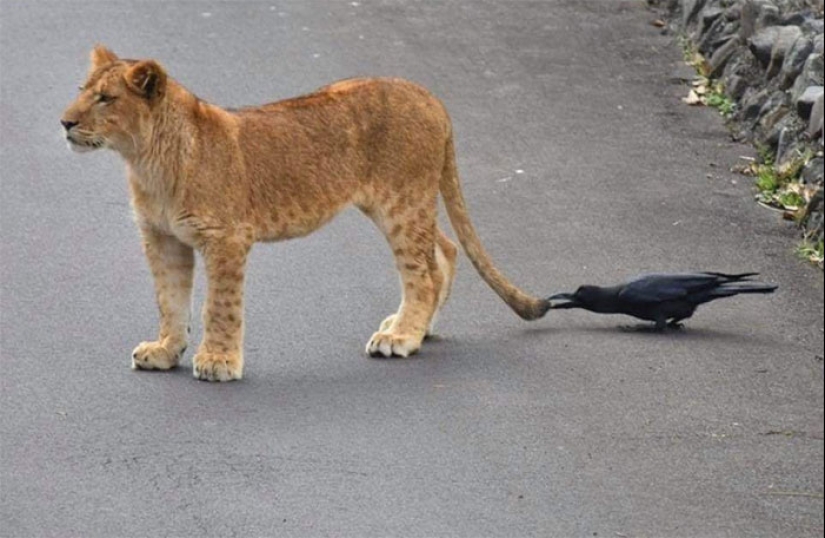 “Fotos tomadas antes del desastre”: 15 fotografías que presagian eventos desafortunados “Fotos tomadas antes del desastre”: 15 fotografías que presagian eventos desafortunados
