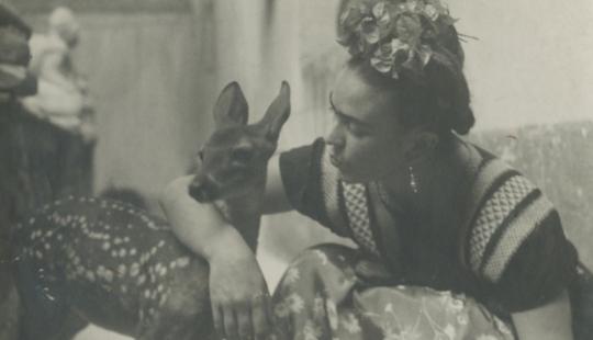 Fotos y cartas de amor secretas de Frida Kahlo