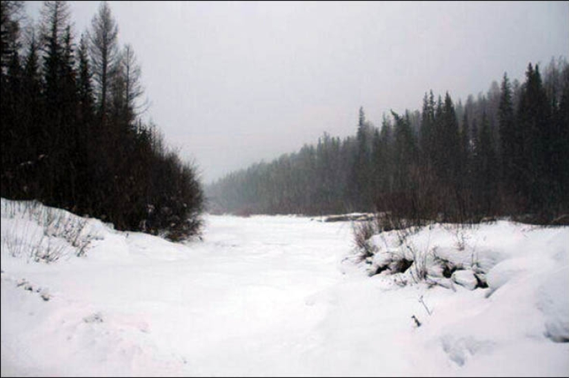 Four-year-old Tuvinka walked for six hours through the taiga in -34 to call for help Four-year-old Tuvinka walked for six hours through the taiga in -34 to call for help