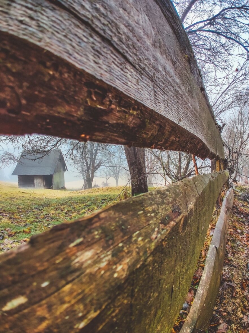 “Framed Moments”: 14 Photos That I Took “Framed Moments”: 14 Photos That I Took