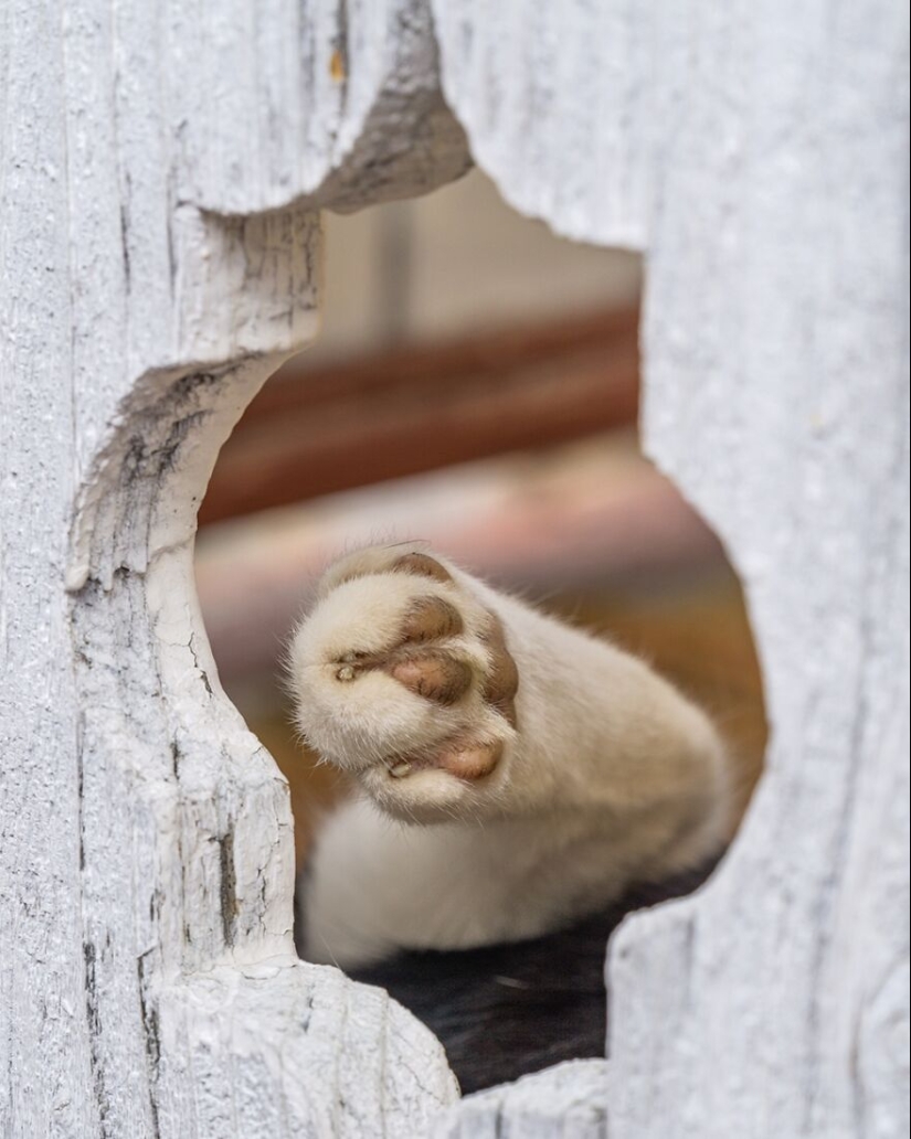 “Framed Moments”: 14 Photos That I Took “Framed Moments”: 14 Photos That I Took