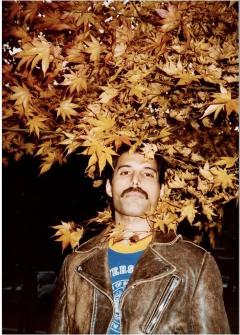 Freddie Mercury’s Never-Before-Seen Personal Photos to be Sold at Auction