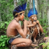 Free love, matriarchy and "love huts" among the inhabitants of the Trobriand Islands Free love, matriarchy and "love huts" among the inhabitants of the Trobriand Islands