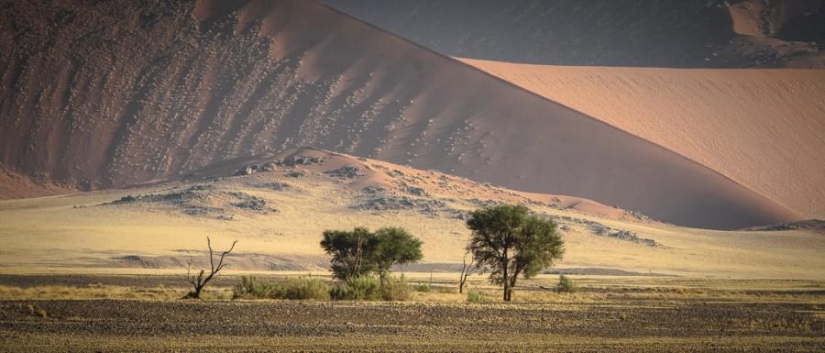África. Namibia. Desierto de Namib - Sossusvlei