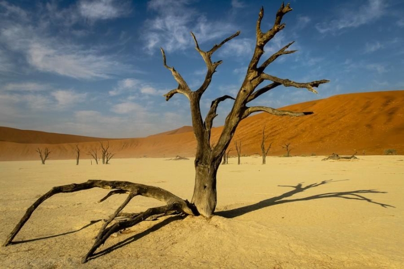 África. Namibia. Desierto de Namib - Sossusvlei