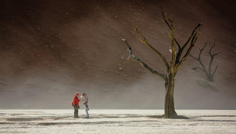 África. Namibia. Desierto de Namib - Sossusvlei