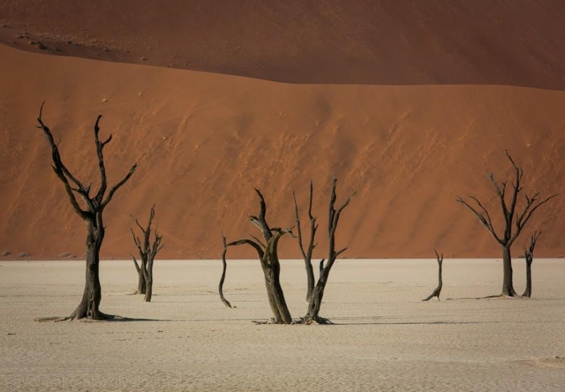 África. Namibia. Desierto de Namib - Sossusvlei