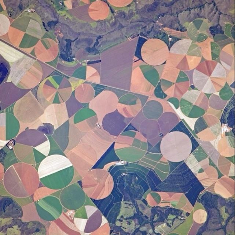 From the ISS