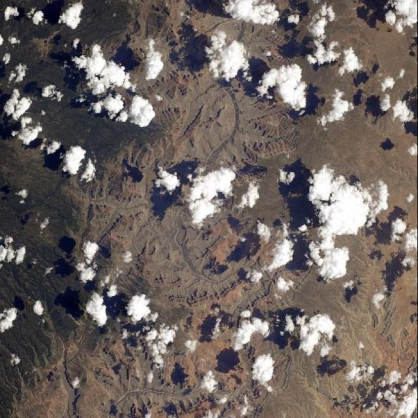 From the ISS