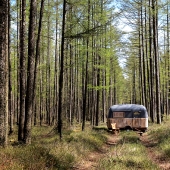 From the office to the forest! From the office to the forest!