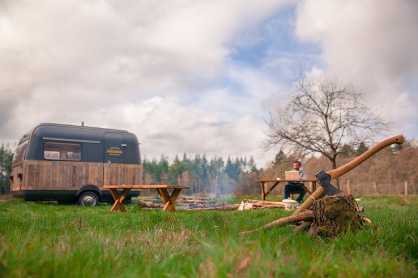 From the office to the forest!