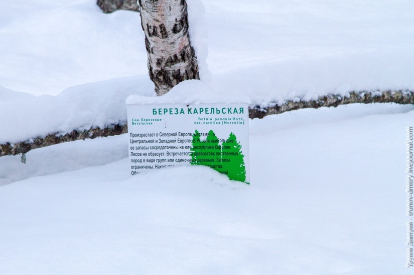 “Frozen, but not frozen” - Kivach waterfall in winter “Frozen, but not frozen” - Kivach waterfall in winter