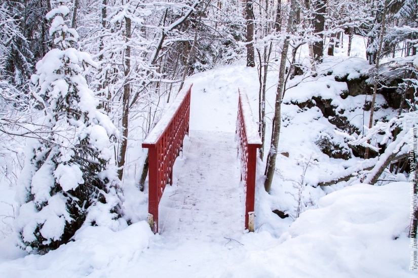 “Frozen, but not frozen” - Kivach waterfall in winter “Frozen, but not frozen” - Kivach waterfall in winter
