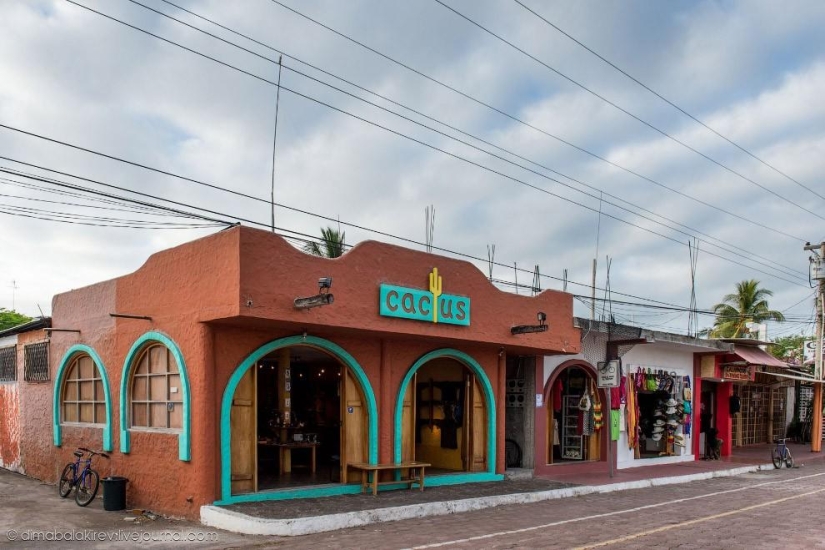 Galápagos. Isla Santa Fe