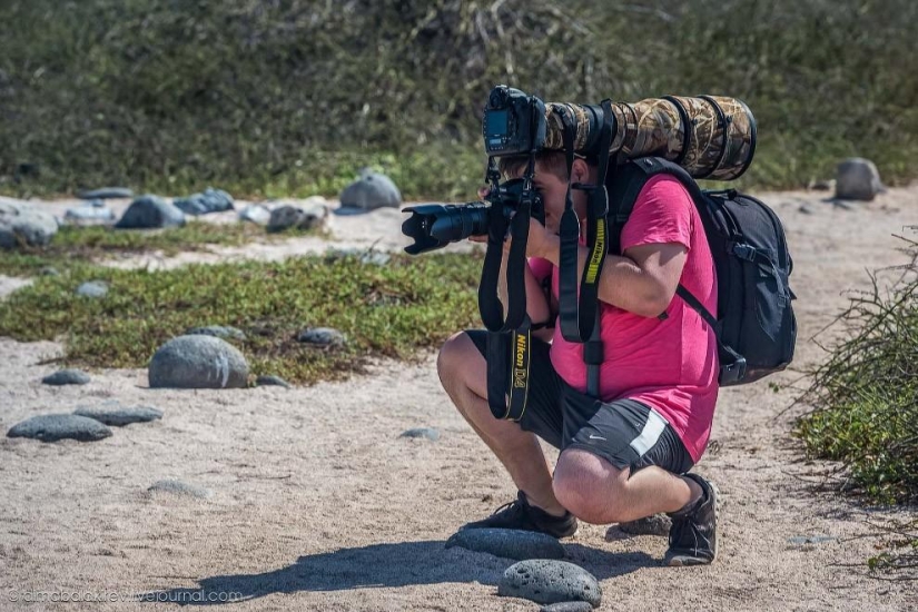 Galápagos. Isla Santa Fe