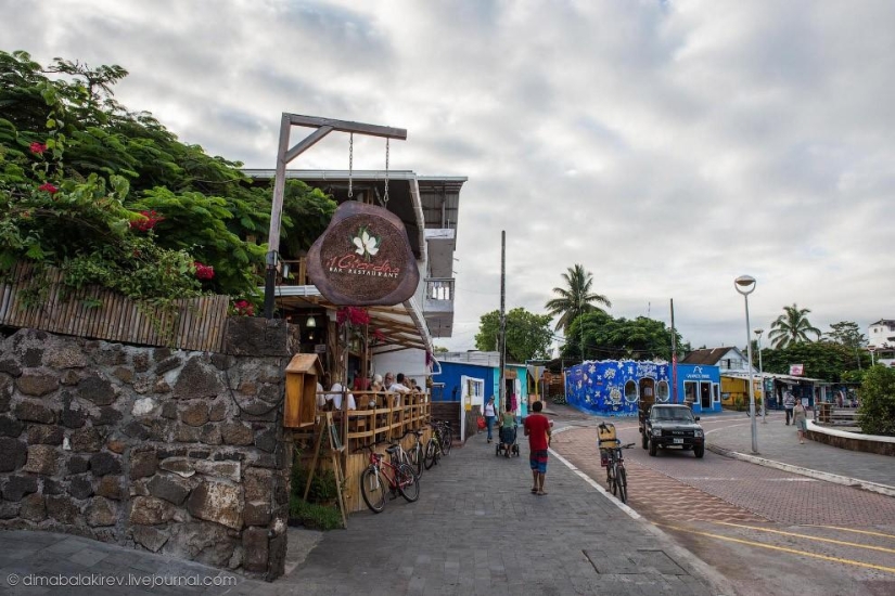 Galápagos. Isla Santa Fe