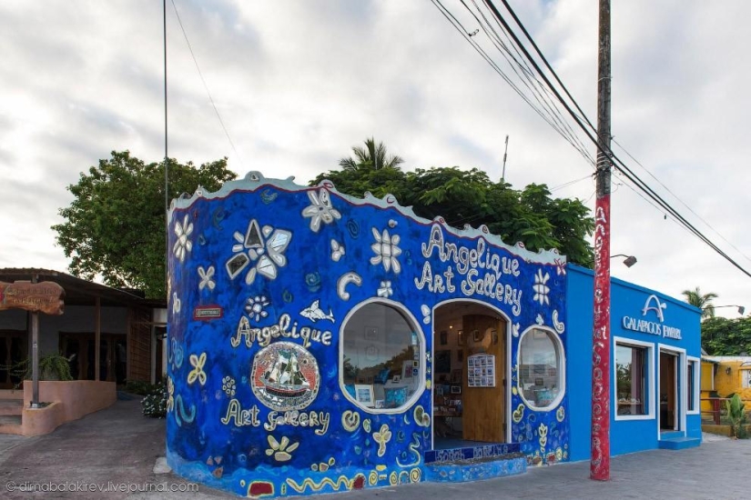 Galápagos. Isla Santa Fe