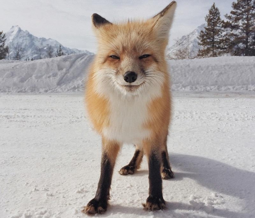 Ganadores de los iPhone Photography Awards 2014 Ganadores de los iPhone Photography Awards 2014