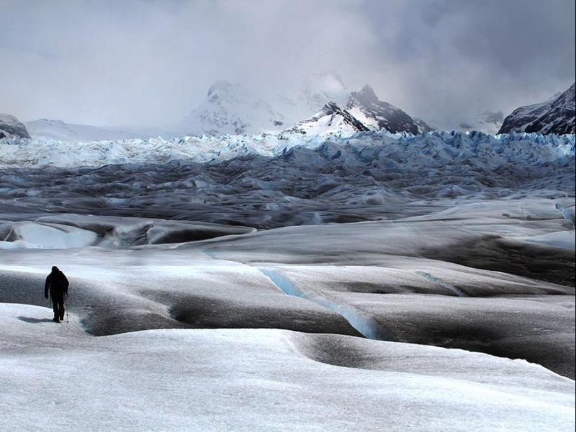 Ganadores de los iPhone Photography Awards 2014 Ganadores de los iPhone Photography Awards 2014